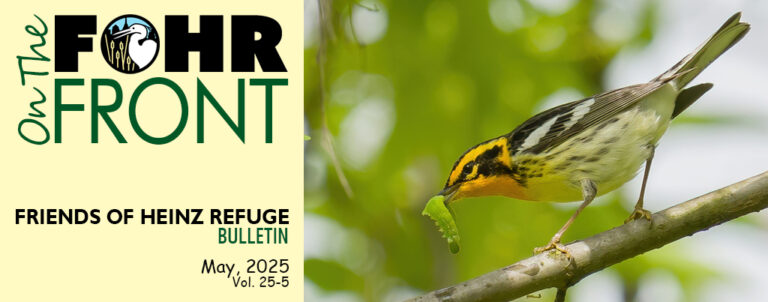 On the FOHR Front May 2025