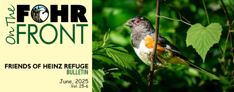 On the FOHR Front - June 2025