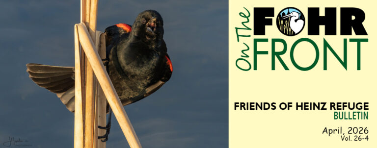 On the FOHR Front April 2026