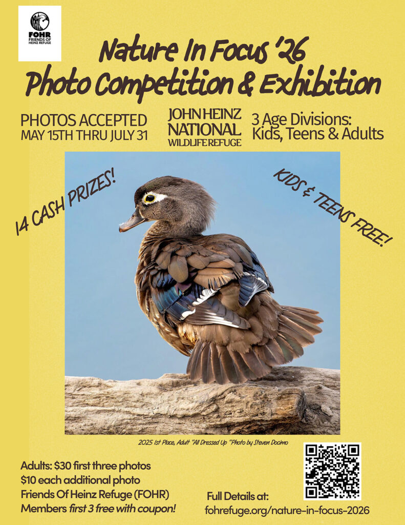 2026 Nature In Focus Flyer