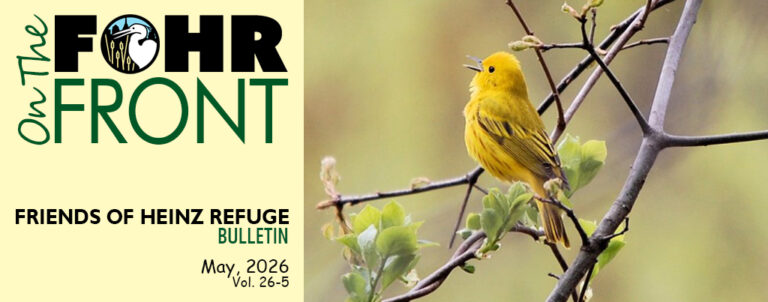 On the FOHR Front May 2026