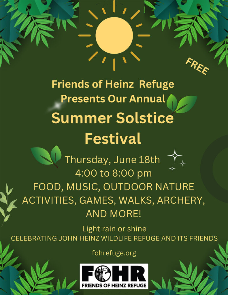 Flyer for the Summer Solstice Festival at Heinz Refuge on Thursday, June 18 at 4 pm.