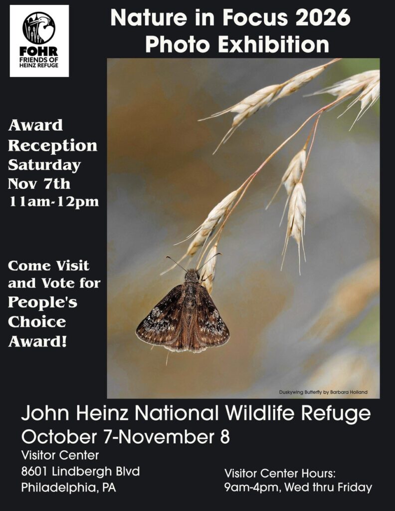 2026 Nature In focus Exhibition Announcement